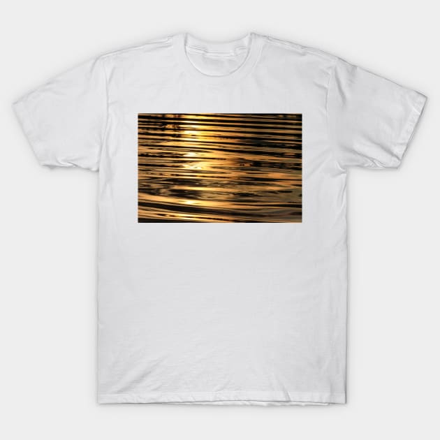 Golden Pond T-Shirt by ansaharju